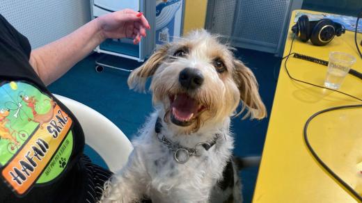 Roztomilý host ve studiu Rádia Junior