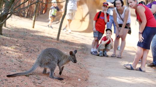 ZOO Vyškov, pavilon Austrálie
