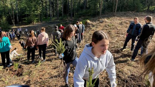 Středoškoláci vyrazili do Prachovských skal. Nejeli ale na výlet, pomáhají s úklidem a zalesňováním