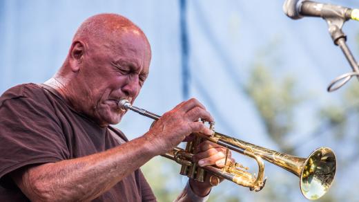 Oslava Mezinárodního dne jazzu 30. dubna. Na Karlově náměstí v Praze vystoupili The Herbaliser, Laco Déczi a další