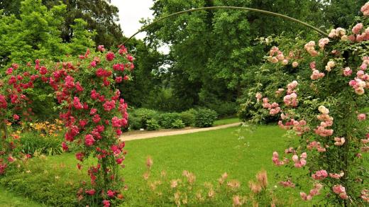 Růžový palouček u zámecké oranžérie 