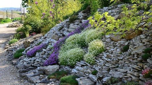 Ukázková Zahrady Harta ve Vošticích u Vysokého Mýta