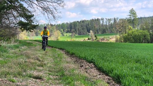 Cesta mezi Mutišovem a Slavonicemi
