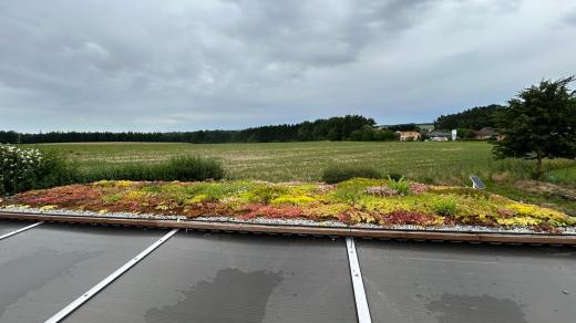 Útulek ve Starých Hodějovicích