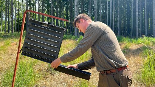 V lesích se znovu šíří kůrovec, jak ukazuje Štěpán Korecký