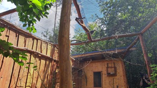 Voliéra pro chladnomilné ptáky v olomoucké zoo