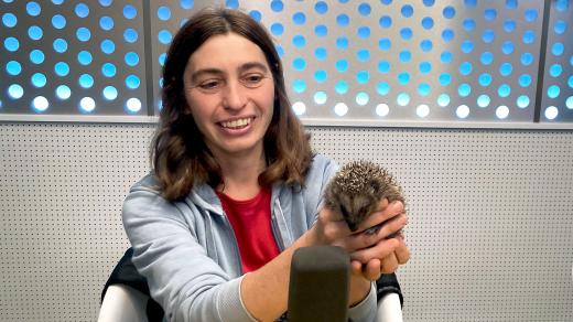 Zuzana Pokorná, hlavní ošetřovatelka ze Záchranné stanice hl. m. Prahy