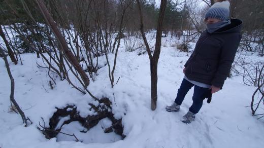 Po kopáčích vltavínů na jihu Čech zůstávají až třímetrové díry v zemi.