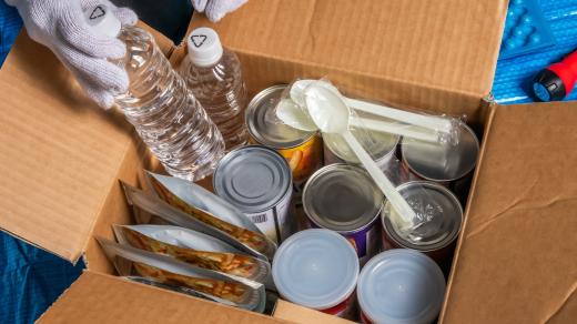 Krizová situae, nouzový stav, 72 hodin