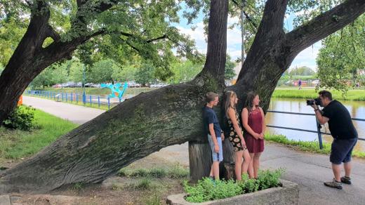 Budějovická lípa svatého Jana Nepomuckého bojuje o titul Strom roku. Roste vodorovně nad cyklostezkou u slepého ramene Malše a podpírají ji dva špalky