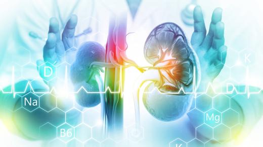 Moci bez nemoci: Novinková transplantace ledvin u komplikovaných pacientů