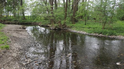 K biokoridoru Hloučela v okolí Prostějova často míří cyklisté i běžci