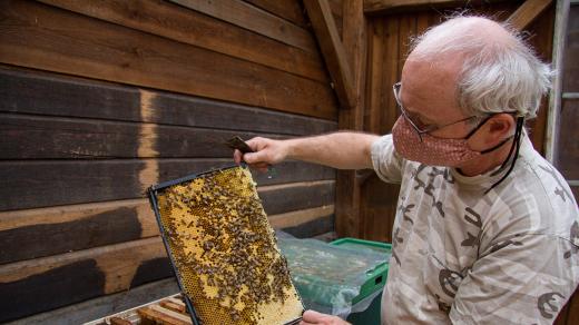 Včelař Tomáš Moravec