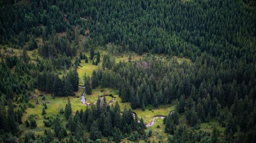 Krkonošský národní park, meandr Labe