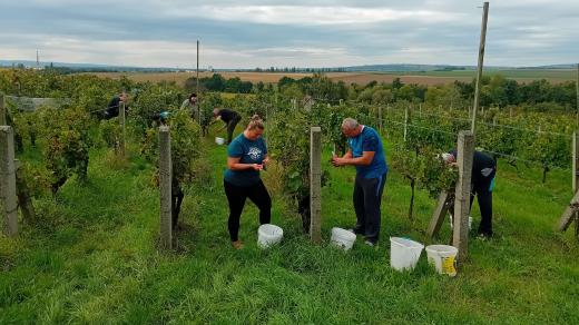 Vinařství Jančura