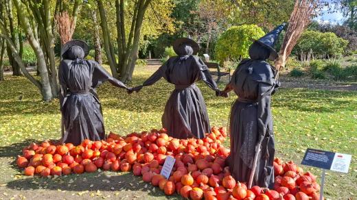Výstava dýní Botanická zahrada Praha