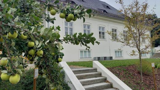 Müllerův dům v Opavě