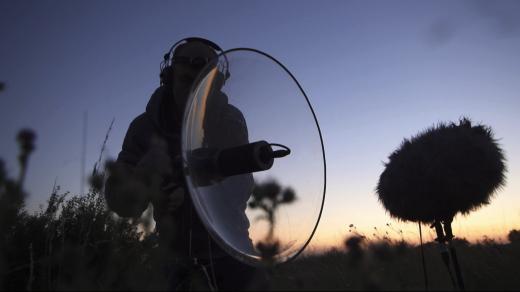 Tomáš Šenkyřík
