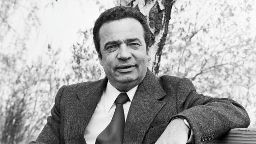 Vladimír Menšík (1978)