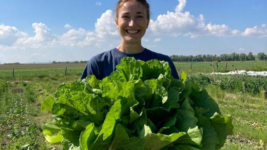 Amálie Vystavělová je na letošní úrodu salátů pyšná
