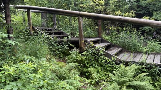 Chodník sestupující z asfaltové cesty k symbolickému Pramenu Vltavy