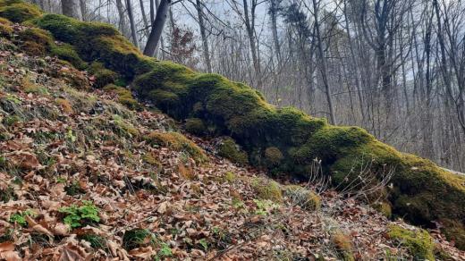 Travertinová kaskáda v Tiché