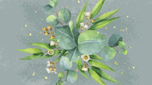 Poslechněte si pohádku