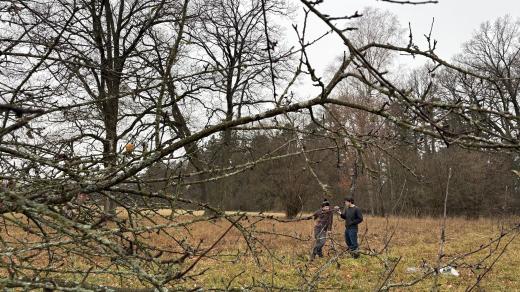 Ondřej Šebestík a arborista Mikuláš Vinař