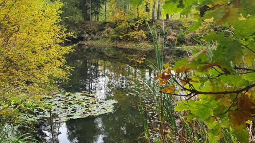 Stříbrné jezírko u Oder