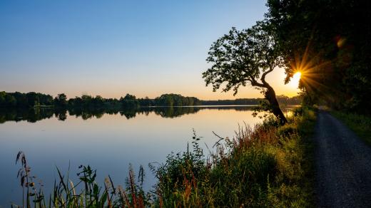 Rybník na Třeboňsku