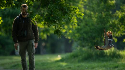 Peter Mikula s Fakulty životního prostředí České zemědělské univerzity opakovaně chodí zkoumat míru strachu ptáků z lidí