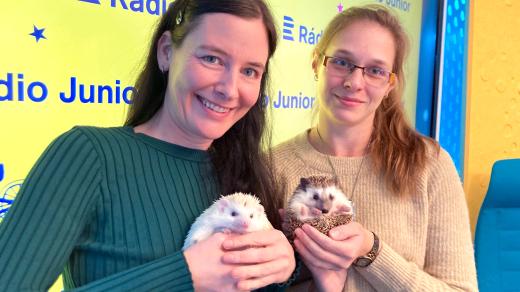 Sandra Vaňková a Simona Linková a jejich ježci Sofinka a Sallynka