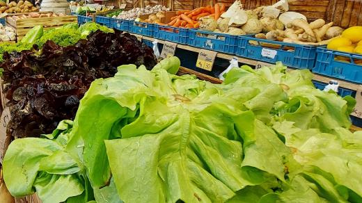Nabídka zeleniny je na farmářských trzích tradičně bohatá