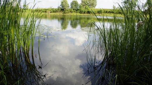 Nechceme mít jen krajinný plán, ale obnovit malý vodní režim republiky, říká ekolog Jiří Malík (ilustrační foto)