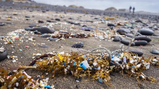 Mikroplasty - plasty - pláž - odpadky - znečištění