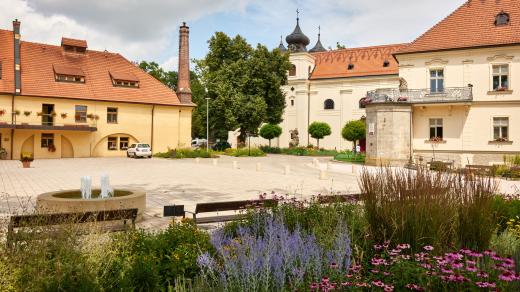 Domov sv. Josefa v Žirči je jediné lůžkové zařízení v ČR, které poskytuje komplexní péči osobám vážně nemocným roztroušenou sklerózou