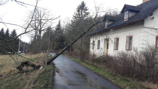 Silný vítr vyvrátil strom v osadě Peklo u Raspenavy