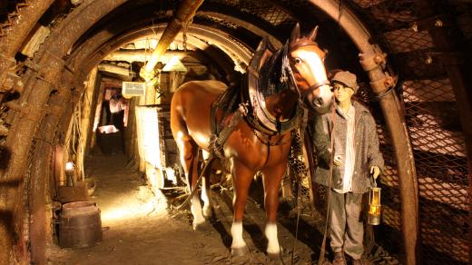 Koník Ferdinand v důlní expozici