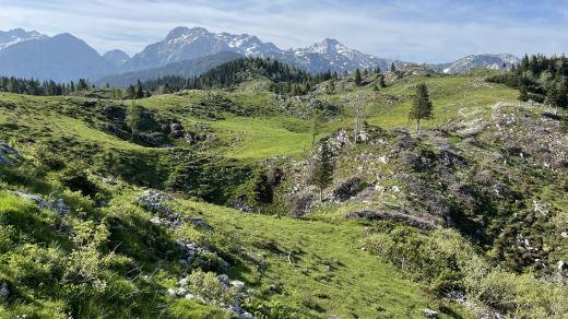 Veliká Planina je nejvýše položenou pastvinou tady v Kamnicko-Savinjských Alpách a ve Slovinsku vůbec