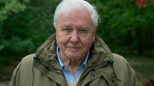 David Attenborough ve filmu Život na naší planetě