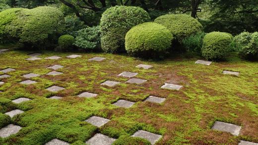 Zenová zahrada, chrám Tofukuji, Kyoto
