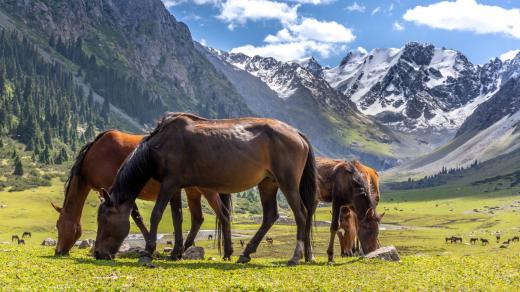 Kyrgyzstán – země hor, jezer, divokých řek, ledovců, koní a přátelských pastevců
