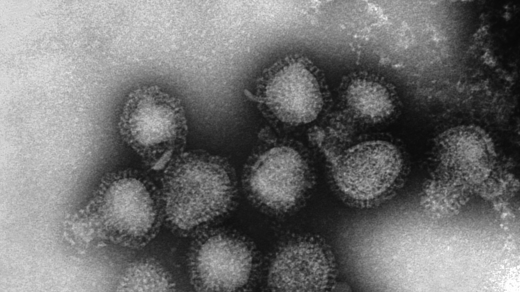 Centers for Disease Control and Prevention 5.png