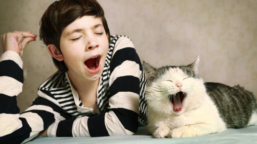 Zívají lidi i zvířata