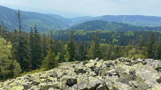 Výhled z vrcholu Hadí hory na Jáchymov