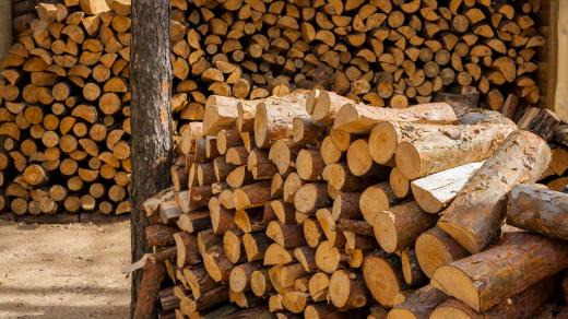 Palivové dřevo (ilustrační foto)