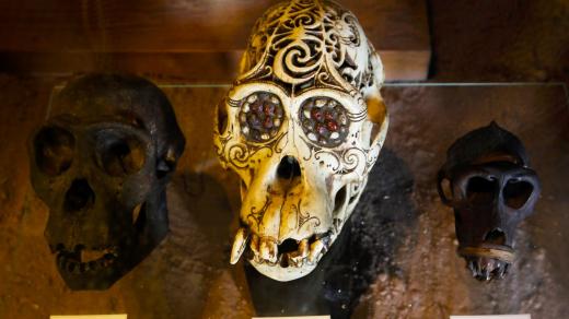 Expozice umění pod kůží