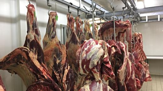 Naporcované hovězí maso v chladícím boxu v Nýřanen