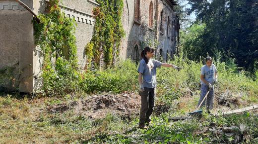 Mezinárodní skupina dobrovolníků pomáhá s obnovou zámku Veselí nad Úhlavou