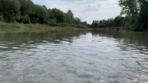 Do řeky Bečvy se vrací život
